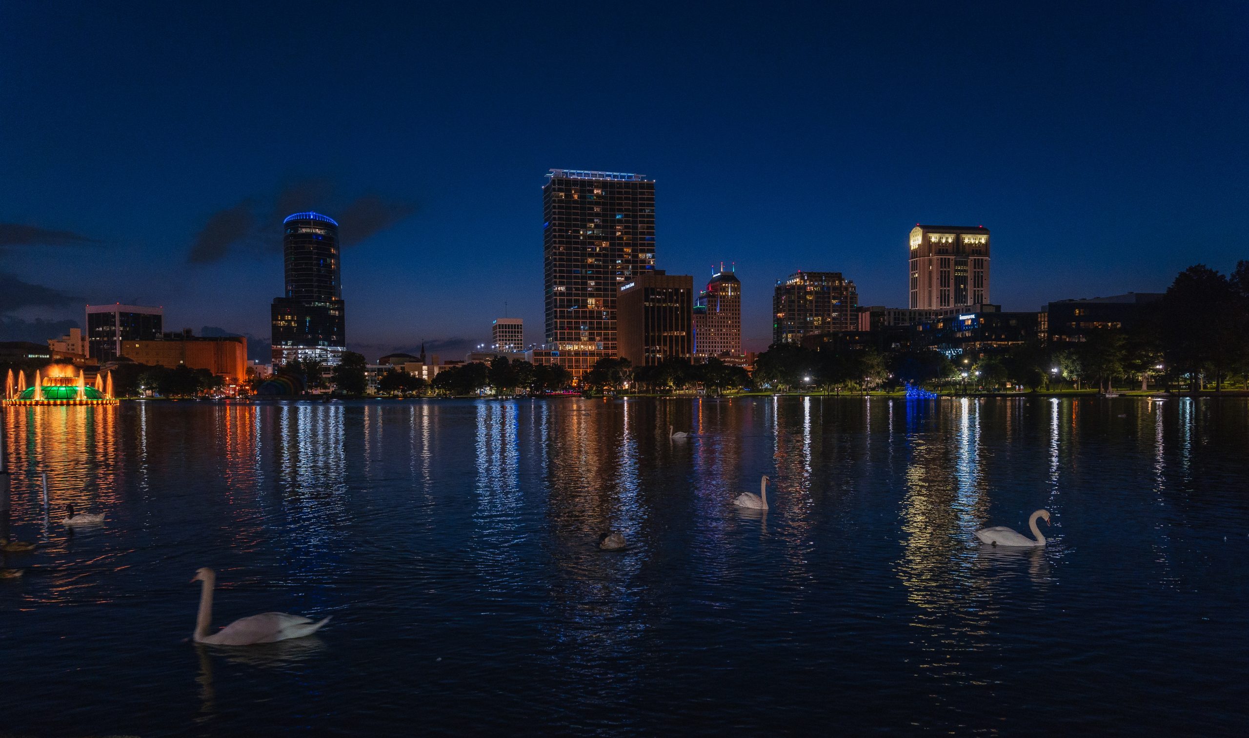 Swans in the Lake Eola Park at Night